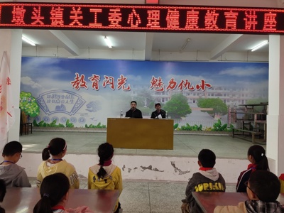 仇湖小学开展心理健康知识讲座